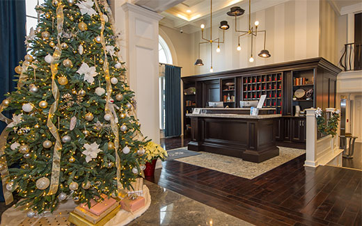 Holiday Package Holiday Package